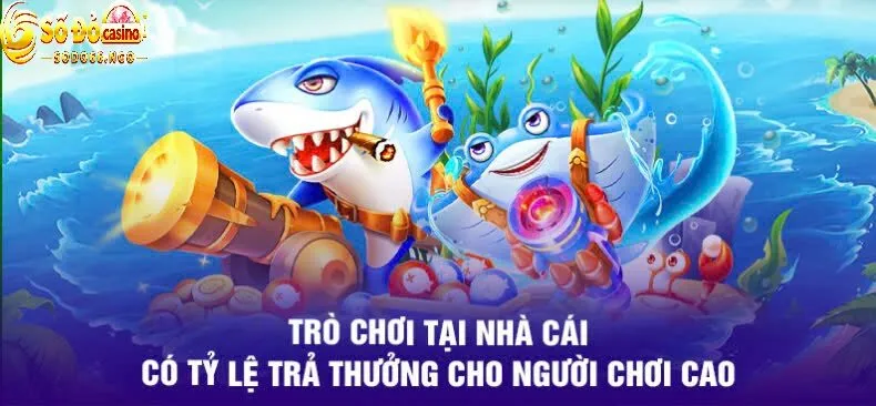 bắn cá